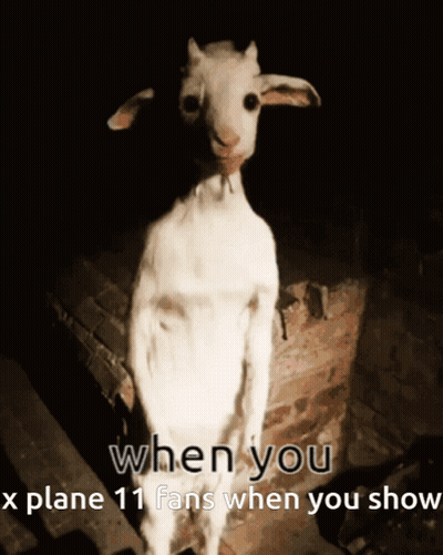 When You X Plane 11 Fans GIF
