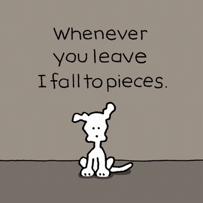 Whenever You Leave I Fall To Pieces. Chippy The Dog GIF