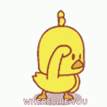Where Are You Cute Chick Looking For You
