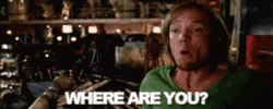 Where Are You Matthew Lillard GIF