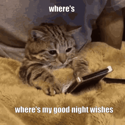 Where Is My Good Night Wishes GIF