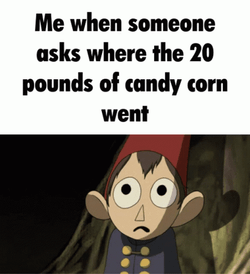 Where The 20 Pounds Of Candy Corn GIF