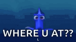 Where You At Big Eyes Dory GIF