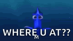 Where You At Dory Finding GIF
