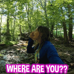 Where You At Finding In The Forest GIF