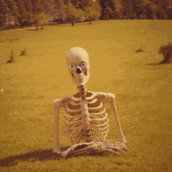 Where You At Skeleton Posing GIF