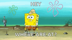 Where You At SpongeBob Searching GIF