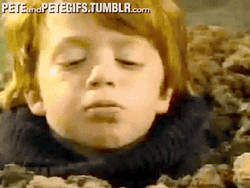 Wheres My Money Adventures Of Pete And Pete GIF