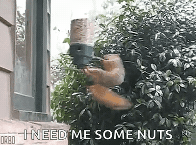 Which Recipe From Whole Chicken GIF