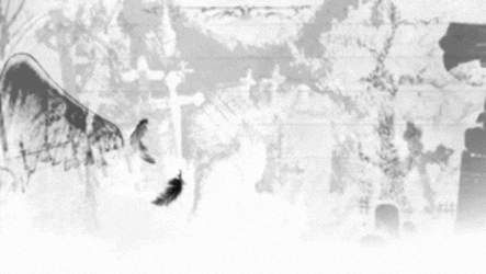 White Aesthetic GIF
