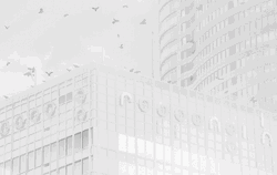 White Aesthetic View GIF