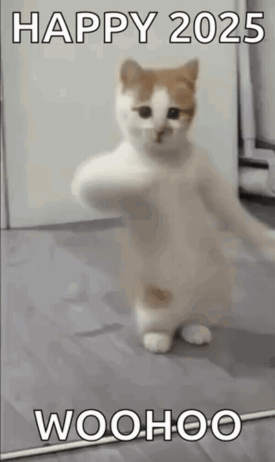 White And Brown Cat Holding Stick GIF