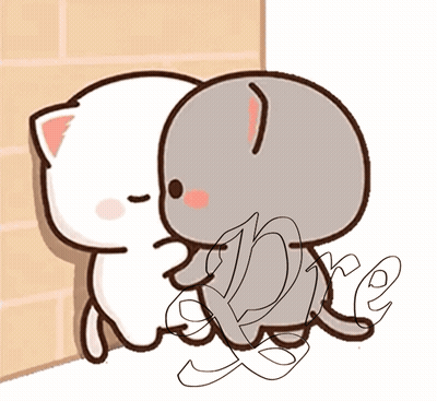 White And Gray Cat With Hire GIF