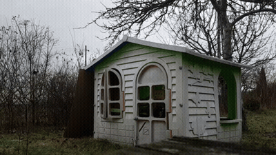 White And Green Playhouse In Forest GIF