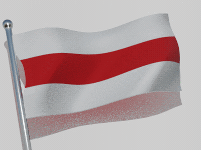 White And Red Flag Waving GIF