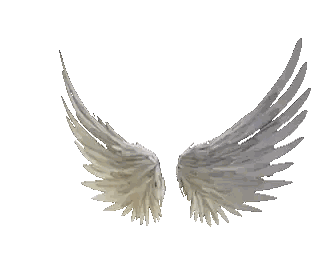 White Angel Wings Sticker