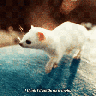 White Animal Saying I Think I'll Settle As a Mole