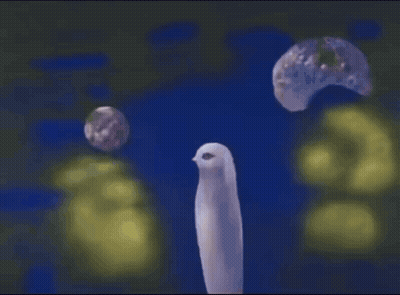 White Bird Flying In Blue Sky GIF