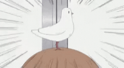 White Bird On Wooden Block GIF