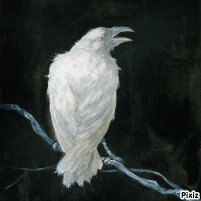 White Bird Painting With Pixiz GIF