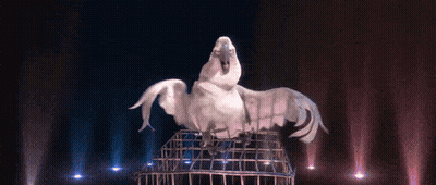 Pájaro blanco parado sobre jaula con alas extendidas GIF