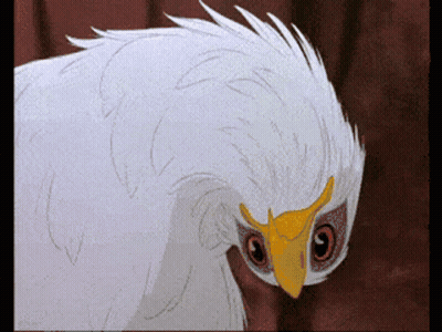 White Bird With Yellow Beak And Red Eyes GIF