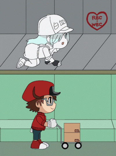 White Blood Cell And Red Blood Cell With Heart Saying RBC + WBC GIF