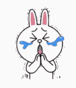 White Bunny Fake Cry GIF