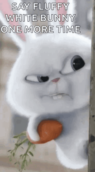 White Bunny Holding Carrot Saying Say Fluffy White Bunny One More Time