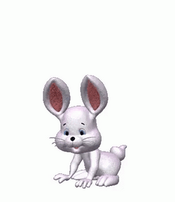 White Bunny Hopping Happily GIF