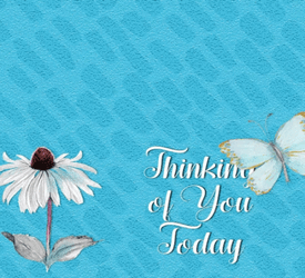 White Butterfly And Flower Thinking Of You Sympathy GIF