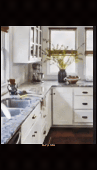 White Cabinets Stainless Steel Appliances Plant Picture On Counter GIF