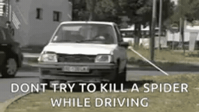 White Car Driving Past Spider GIF