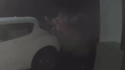 White Car Parked In Dark Room GIF