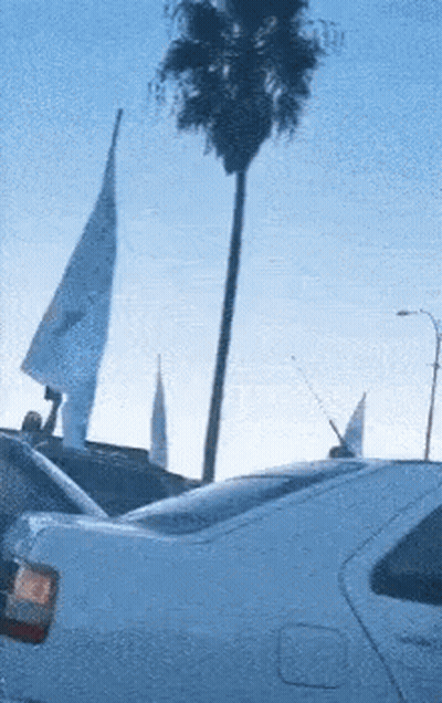White Car Parked Near Palm Tree Blue Sky GIF