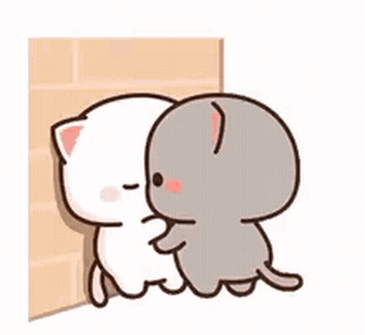 White Cat And Gray Cat Hugging On Brick Wall GIF