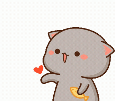 White Cat And Gray Cat On Orange Background GIF