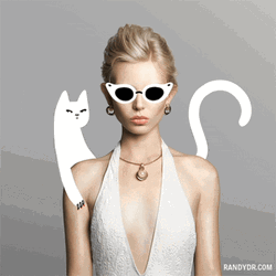 White Cat Art With A Model GIF