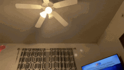 White Cat Caught Flying Toy GIF