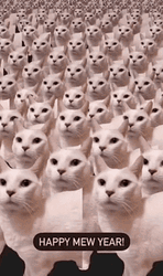 White Cat Cloning New Year GIF