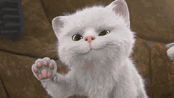 White Cat Comot Saying Hi GIF