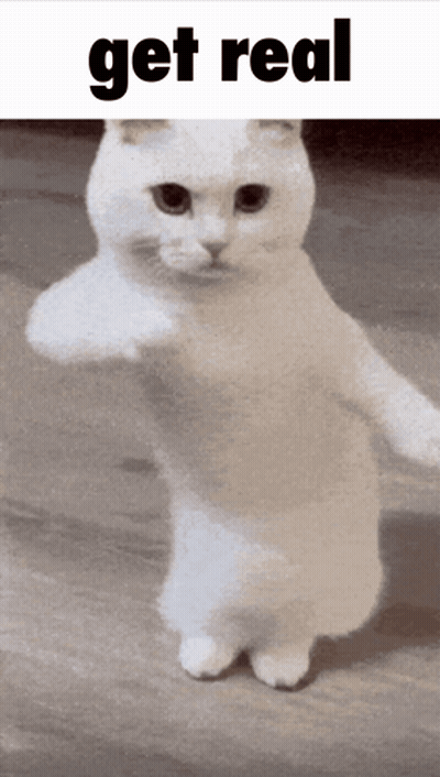 White Cat Dancing Get Real GIF