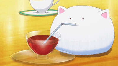 White Cat Drinking From Glass With Straw GIF