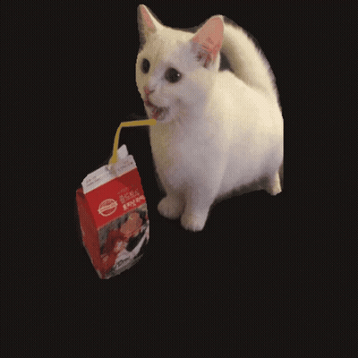 White Cat Drinking Milk With Straw GIF