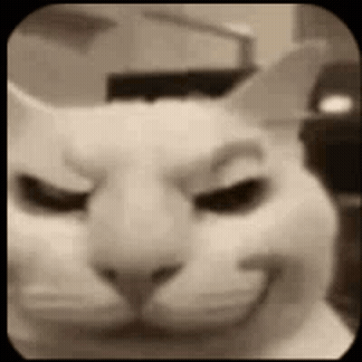 White Cat Eyes Closed Smiling GIF