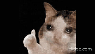 White Cat Giving Thumbs Up GIF