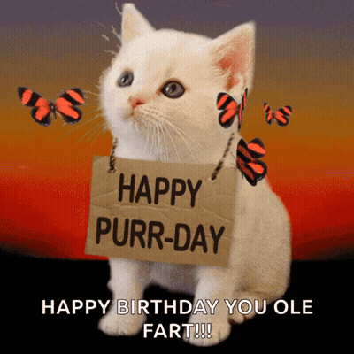 White Cat Holding Happy Purr-Day Sign GIF