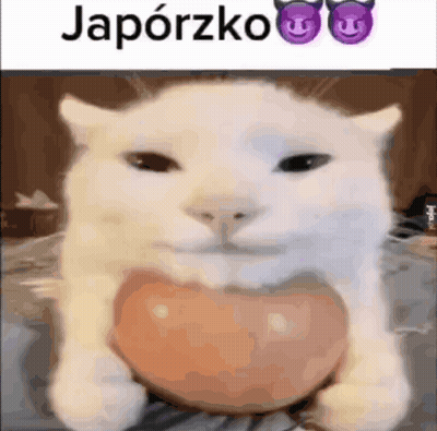 White Cat Holding Heart Shaped Object Smiling GIF