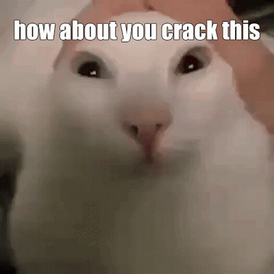White Cat How About You Crack This GIF