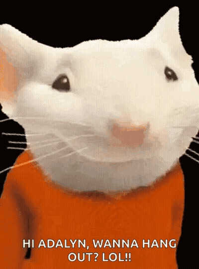 White Cat In Orange Shirt Saying Hi Adalyn Wanna Hang Out Lol GIF